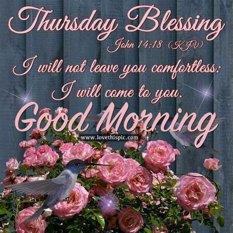 Good morning thursday blessings images and quotes - Good Morning Thursday’s Wishes. The quiet before the weekend blaze, Thursday mornings offer an opportunity to collect your thoughts, formulate your plans, and make the most of the day ahead. ... May the blessings of this Thursday morning bring you happiness and success. Good morning! Embrace the opportunities this Thursday offers …